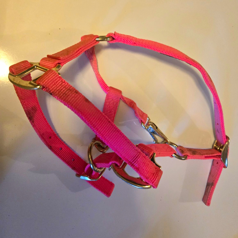Condition Pre-Owned / Used Description Tough-1 adjustable foal halter in bright